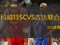 科威特SCVS吉達(dá)聯(lián)合